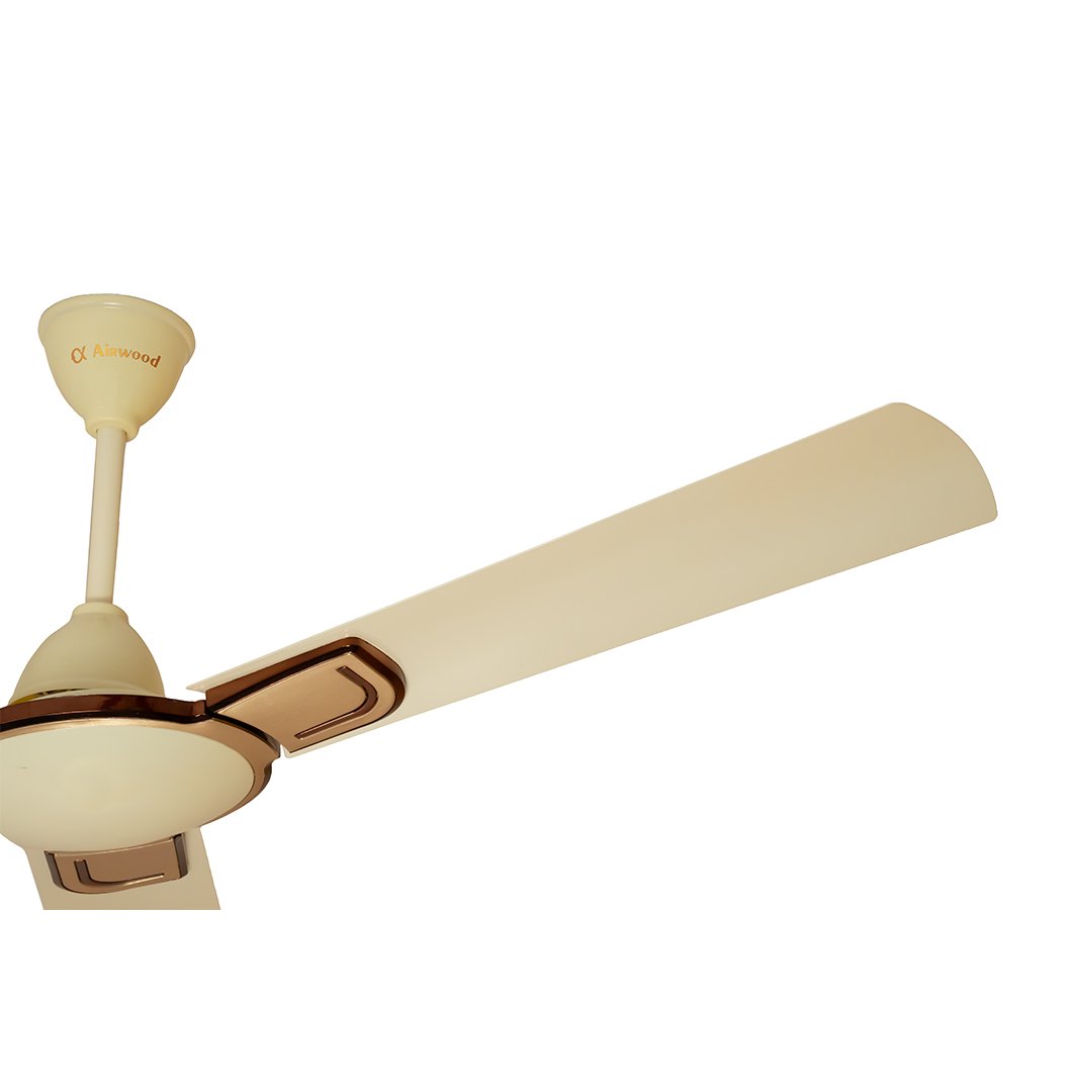 Ceiling Fan_Fortuner 