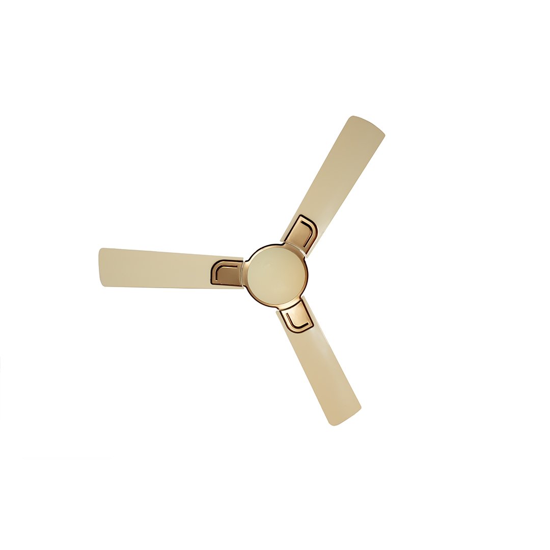 Ceiling Fan_Fortuner 