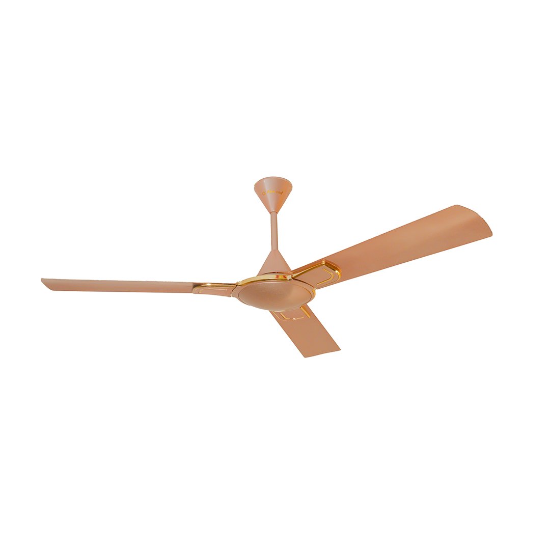Ceiling fan_Fortuner 