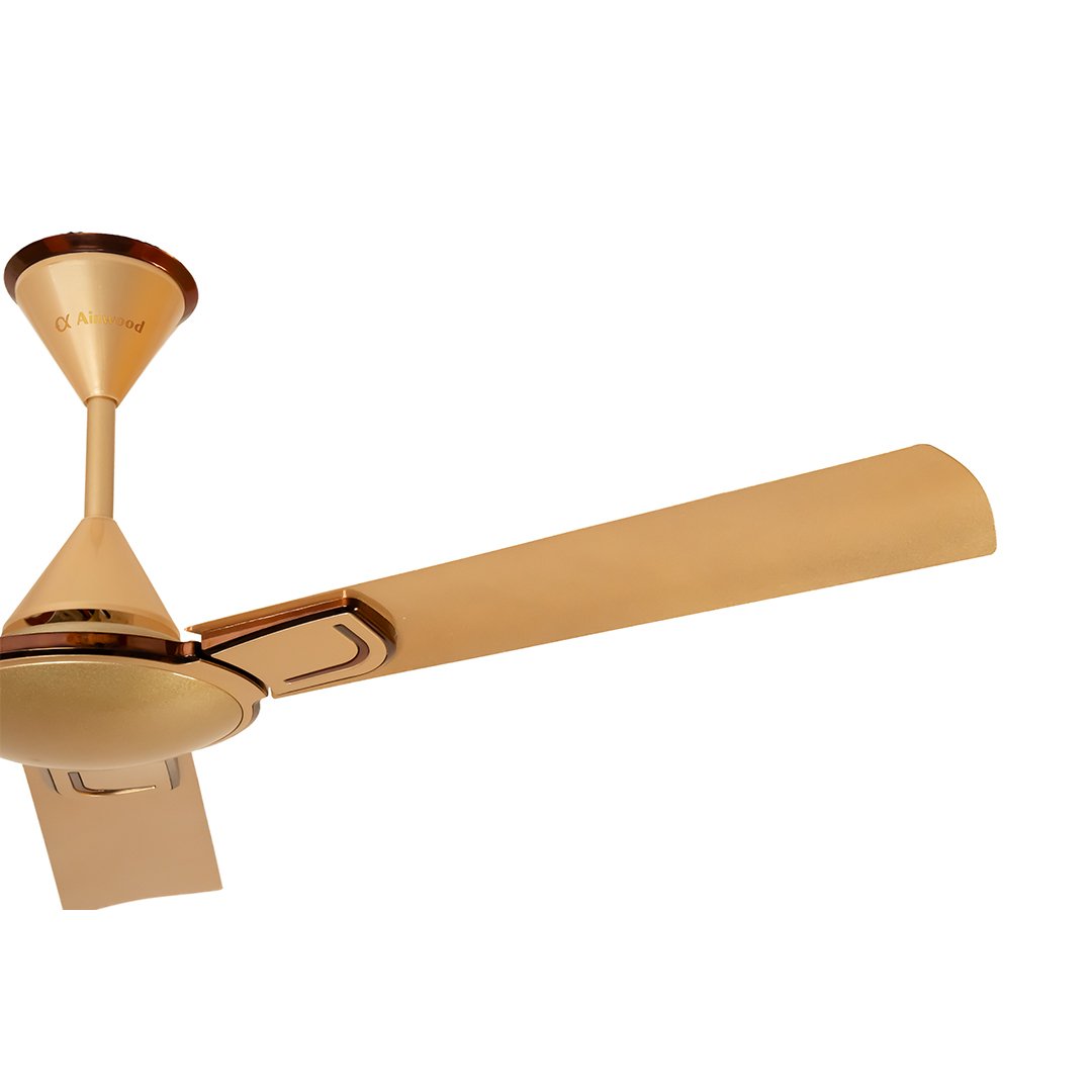 Ceiling Fan_Fortuner