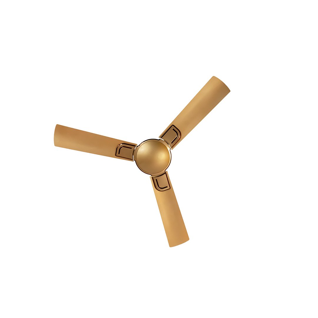 Ceiling Fan_Fortuner