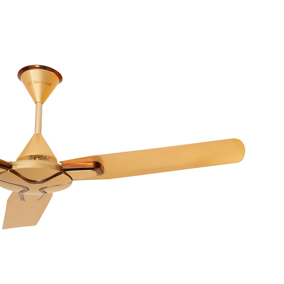 Ceiling Fan-Skoda